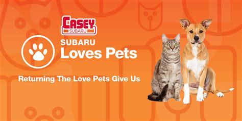 Casey Subaru Make a Dogs Day Adoption Event – WNIS