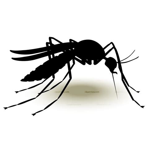 Mosquito Silhouette at GetDrawings | Free download