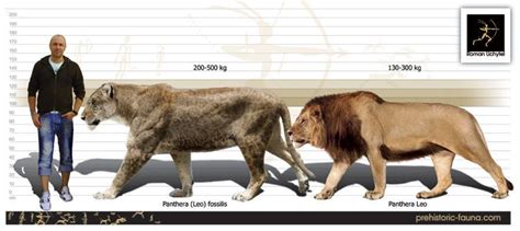 Cave Lion | Ancient animals, Prehistoric animals, Prehistoric wildlife