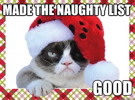 A Grumpy Cat Christmas - Introvert Spring