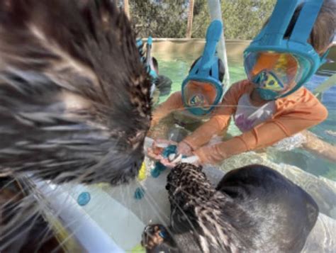 Otter Valley Nature Center | Nurtured By Nature