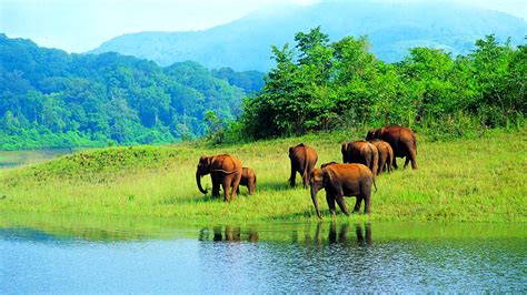 Periyar-Wildlife-Sanctuary - Kerala Tourism