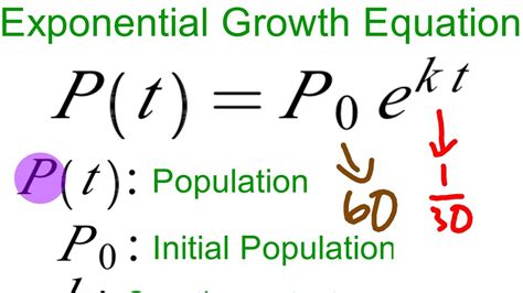 Exponential Decay Function Equation