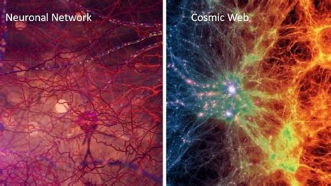 How Cosmos, Brain and ANN relates