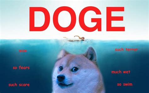 Doge Meme - Much Wow Dog - Funny Shiba Inu Meme