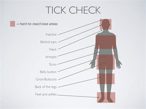 How To Prevent Mosquito And Tick-Borne Diseases | Across America, US Patch