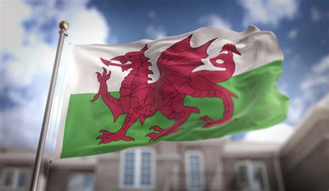 How the Welsh Flag Became the Coolest Flag in the World | Welsh flag, Wales, Flag