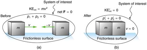 8.5 Inelastic Collisions in One Dimension | Texas Gateway