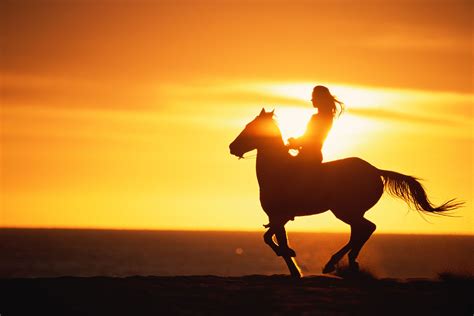 Horse And Rider Silhouette Sunset