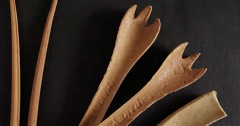 Indian Company Creates Sustainable Edible Cutlery - ATTN: