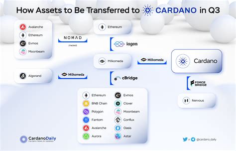 Cardano Ecosystem - Q3 2022 Quarterly Report