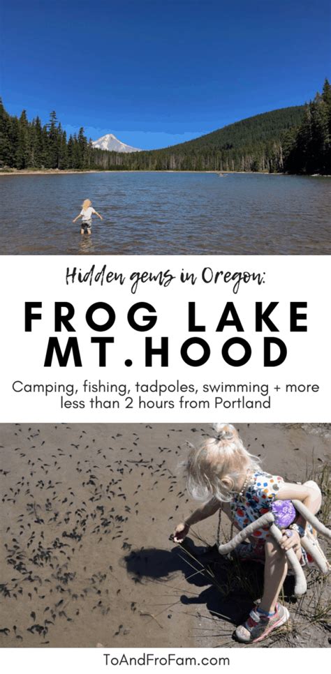 Frog Lake, Oregon: Mt Hood campground, trail + polliwog paradise!