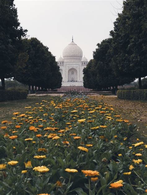 Flowers in Front of Taj Mahal · Free Stock Photo