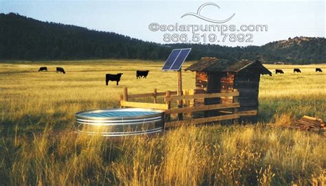 Solar Water Pumps: Beef Cattle Water Requirements and Source Management