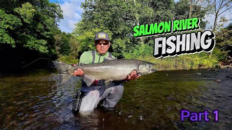 Salmon River 2023 -Fly Fishing the Joss hole of the Douglaston Salmon Run. Coho and Kings oh my ...