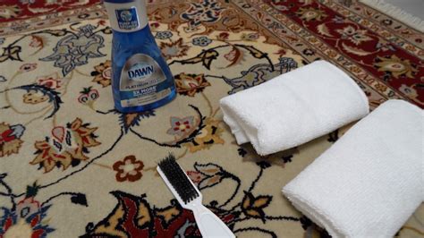 How to Clean Your Persian Rug at Home | Catalina Rug