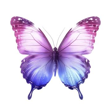 Purple Gradient Butterfly, Butterfly, Gradient, Colorful PNG Transparent Image and Clipart for ...