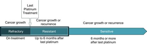 Cómo entender el cáncer de ovario recurrente o progresivo ...