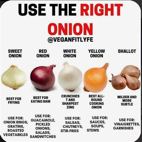 Onion use guide