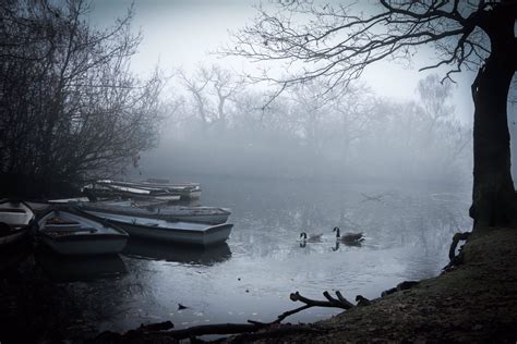 How can anyone not like London in the fog... | London fog, London, Fog