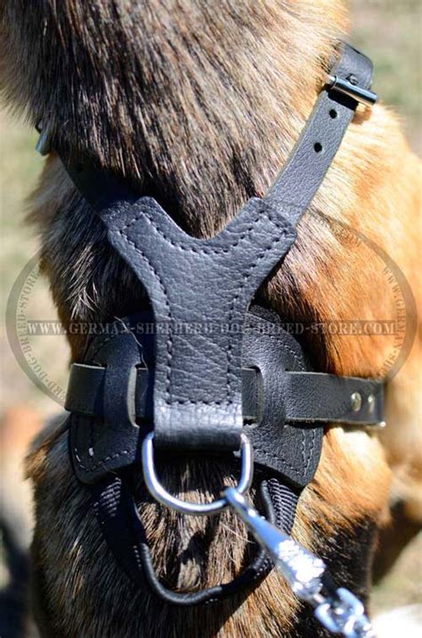 Leather Dog 【Harness】 for German Shepherd : German Shepherd Breed: Dog harness, Muzzle, Dog ...