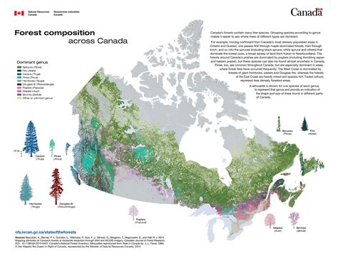 Forest composition across Canada - Vivid Maps