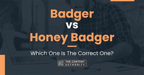 Badger vs Honey Badger: Which One Is The Correct One?