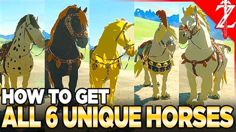 How to Get All 6 Unique Horses in Tears of the Kingdom - YouTube