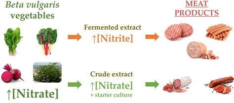 Vegetables Low In Nitrates - Encycloall