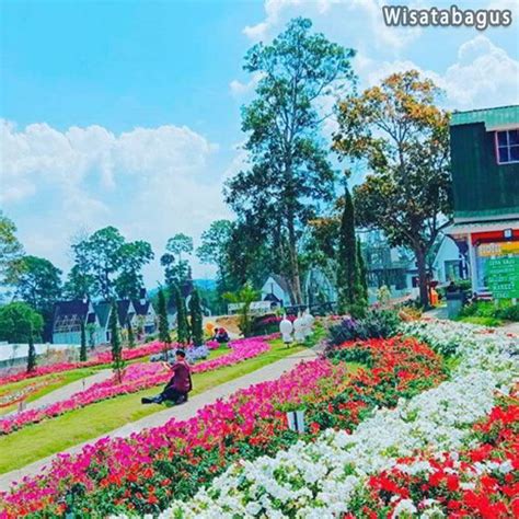 √ Taman Bunga Celosia, Wisata Bandungan Rasa Mancanegara