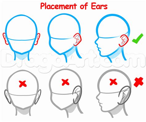 How to Draw Ears For Beginners, Step by Step, Ears, People, FREE Online ...