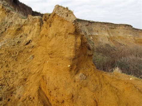 Walton-on-the-Naze (Essex) | Discovering Fossils