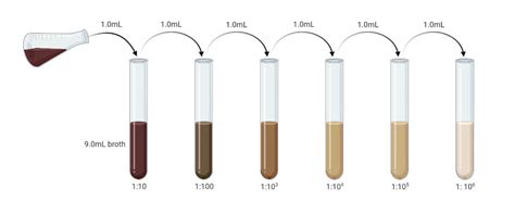 Pour Plate Method- Definition, Principle, Procedure, Uses