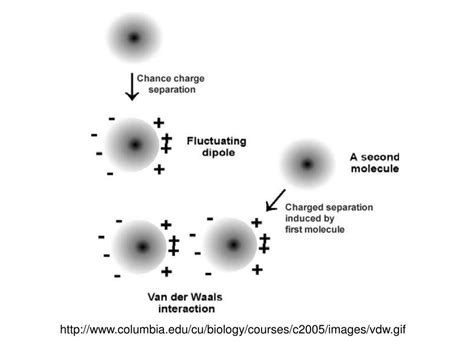 PPT - Sorption processes in soil PowerPoint Presentation, free download - ID:6649902