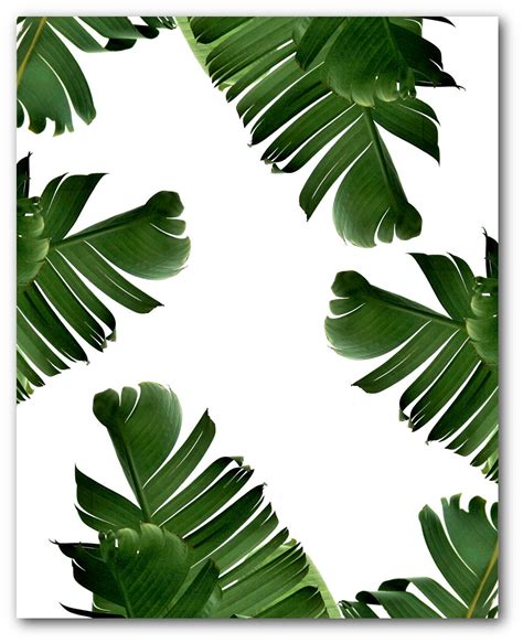 Banana Leaf Print Abstract Tropical Leaf Summer Art