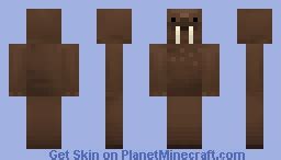 my sea lion Minecraft Skin