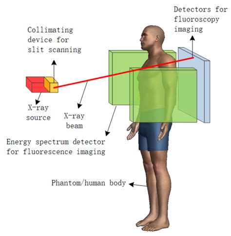 Beam Collimation X Ray - The Best Picture Of Beam