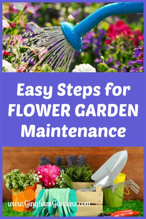 Flower Garden Maintenance Tips - Gingham Gardens