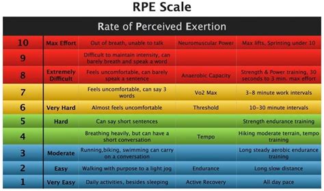 The 4th parameter - Rate of perceived exertion (RPE) - Broscience.com