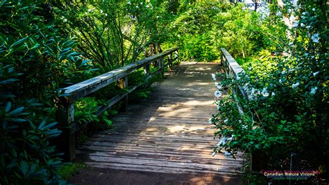 Canadian Nature Visions | Annapolis Royal Gardens