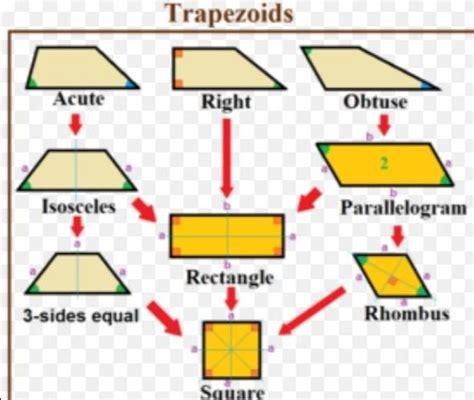 which of the following quadrilaterals has a diagonals that do not ...