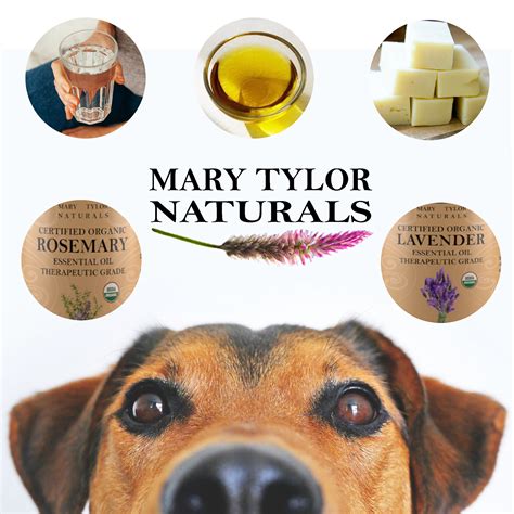 Homemade Organic Coconut Oil Dog Shampoo | Mary Tylor Naturals