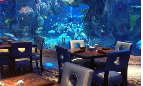 The Aquarium Restaurant Nashville Tn Menu - Aquarium Views