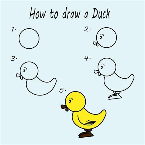 Premium Vector | Step by step to draw a Duck Drawing tutorial a Duck ...