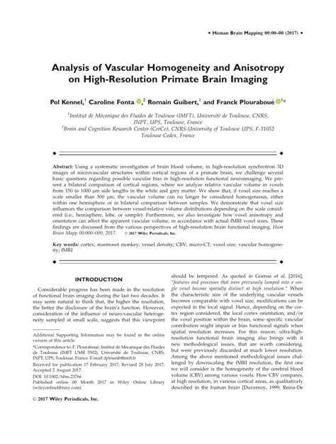 (PDF) Analysis of vascular homogeneity and anisotropy on high ...