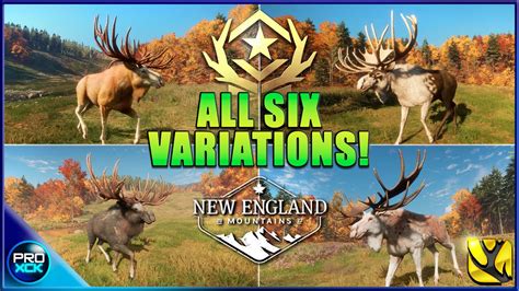 GREAT ONE Moose First Look! | All different fur variations revealed - theHunter Call of the Wild ...