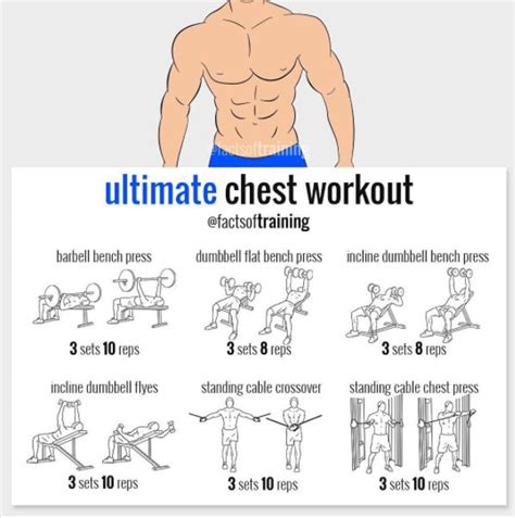 Ultimate Chest Workout by Facts of Training | Ultimate chest workout ...