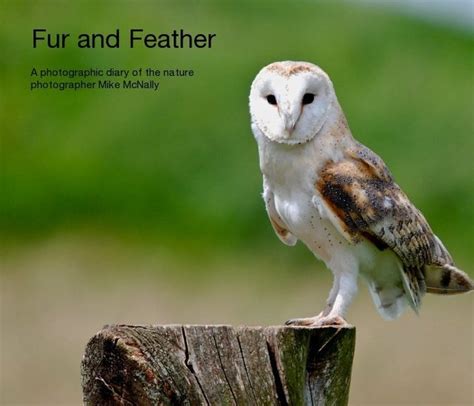 Fur and Feather Ebook by Mike McNally Photography | Blurb Books UK