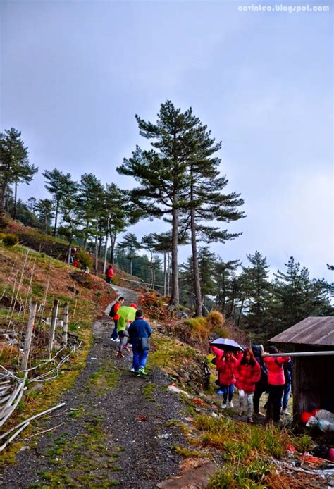 Entree Kibbles: Sunrise at Hehuanshan (合歡山觀日出) @ Cingjing Farm [Nantou, Taiwan]