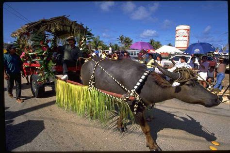 130 Culture and Community ideas | guam, island, culture